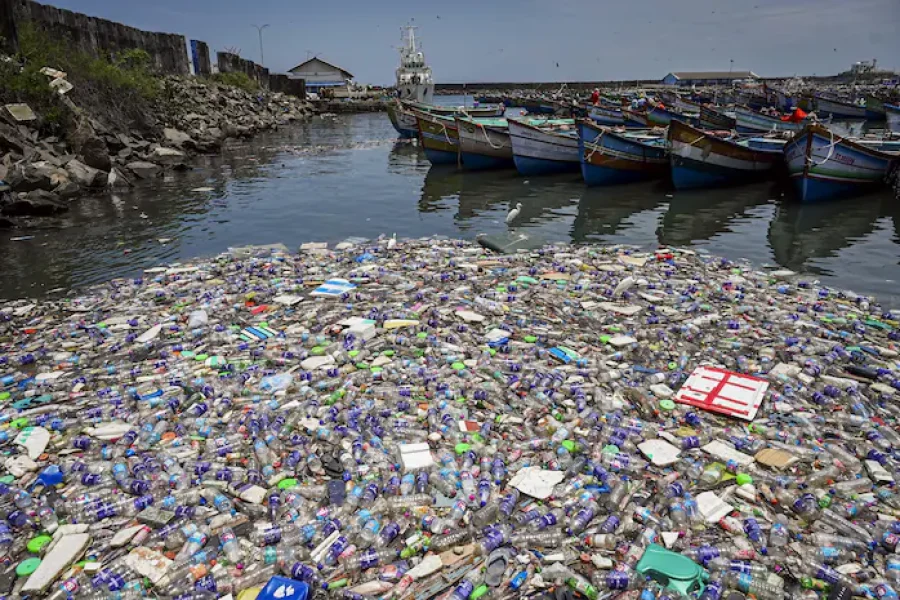 India leads in generating plastic waste with 10.2 mn tonnes a year: Study